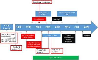 DPP-4 Inhibition and the Path to Clinical Proof